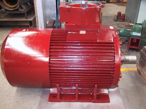 Hazardous Area Motor Assessments