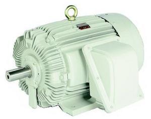 TECO MaxE 3 415v e-motor