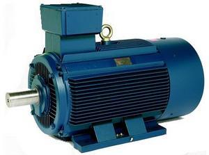 TECO Monarch 415v e-motors