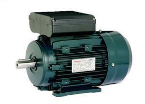TECO Monarch Single Phase 240v e-motors