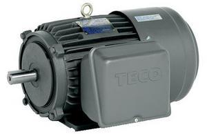TECO Single Phase 240-480v e-motors